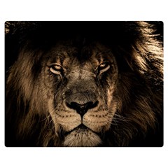 African-lion-mane-close-eyes Premium Plush Fleece Blanket (medium) by Ket1n9