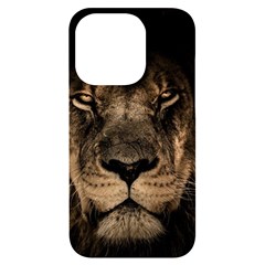 African-lion-mane-close-eyes Iphone 14 Pro Black Uv Print Case