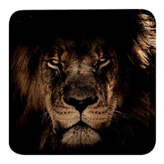 African-lion-mane-close-eyes Square Glass Fridge Magnet (4 Pack) by Ket1n9