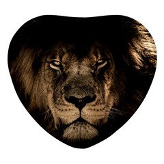 African-lion-mane-close-eyes Heart Glass Fridge Magnet (4 Pack) by Ket1n9