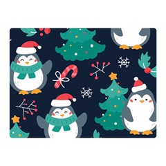 Colorful Funny Christmas Pattern Two Sides Premium Plush Fleece Blanket (mini)