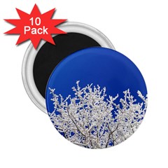 Crown-aesthetic-branches-hoarfrost- 2 25  Magnets (10 Pack)  by Ket1n9