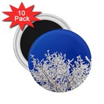 Crown-aesthetic-branches-hoarfrost- 2.25  Magnets (10 pack)  Front