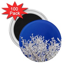 Crown-aesthetic-branches-hoarfrost- 2 25  Magnets (100 Pack)  by Ket1n9