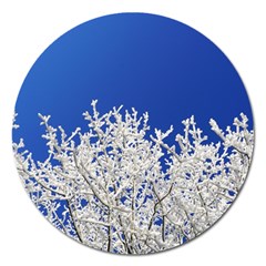 Crown-aesthetic-branches-hoarfrost- Magnet 5  (round) by Ket1n9