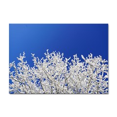 Crown-aesthetic-branches-hoarfrost- Sticker A4 (100 Pack) by Ket1n9