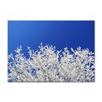 Crown-aesthetic-branches-hoarfrost- Sticker A4 (100 pack) Front