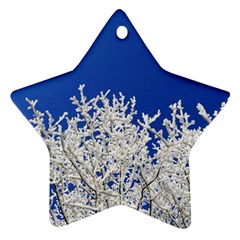 Crown-aesthetic-branches-hoarfrost- Star Ornament (two Sides) by Ket1n9