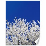 Crown-aesthetic-branches-hoarfrost- Canvas 12  x 16  11.86 x15.41  Canvas - 1