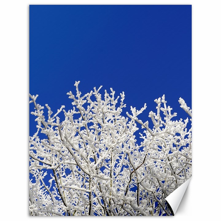 Crown-aesthetic-branches-hoarfrost- Canvas 12  x 16 