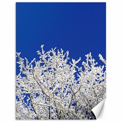 Crown-aesthetic-branches-hoarfrost- Canvas 18  X 24  by Ket1n9