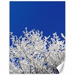 Crown-aesthetic-branches-hoarfrost- Canvas 18  x 24  17.8 x23.08  Canvas - 1