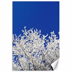 Crown-aesthetic-branches-hoarfrost- Canvas 20  X 30  by Ket1n9