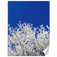 Crown-aesthetic-branches-hoarfrost- Canvas 36  X 48  by Ket1n9