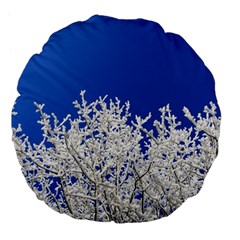 Crown-aesthetic-branches-hoarfrost- Large 18  Premium Flano Round Cushions by Ket1n9