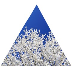 Crown-aesthetic-branches-hoarfrost- Wooden Puzzle Triangle by Ket1n9