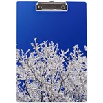 Crown-aesthetic-branches-hoarfrost- A4 Acrylic Clipboard Front