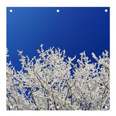 Crown-aesthetic-branches-hoarfrost- Banner And Sign 4  X 4  by Ket1n9