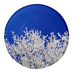 Crown-aesthetic-branches-hoarfrost- Round Glass Fridge Magnet (4 Pack) by Ket1n9