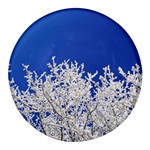 Crown-aesthetic-branches-hoarfrost- Round Glass Fridge Magnet (4 pack) Front