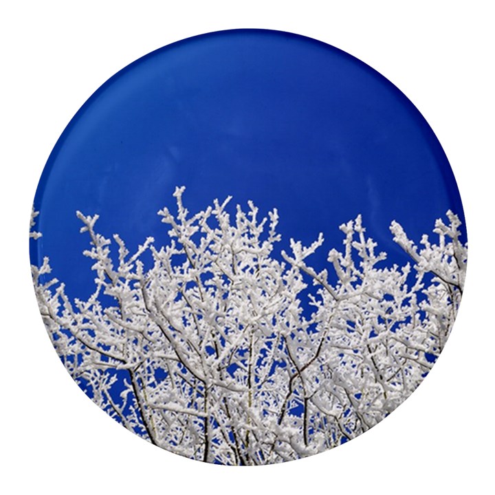 Crown-aesthetic-branches-hoarfrost- Round Glass Fridge Magnet (4 pack)