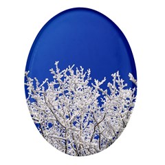 Crown-aesthetic-branches-hoarfrost- Oval Glass Fridge Magnet (4 Pack) by Ket1n9