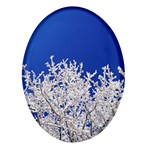 Crown-aesthetic-branches-hoarfrost- Oval Glass Fridge Magnet (4 pack) Front