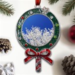 Crown-aesthetic-branches-hoarfrost- Metal X Mas Lollipop with Crystal Ornament Front