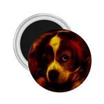 Cute 3d Dog 2.25  Magnets Front