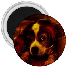 Cute 3d Dog 3  Magnets by Ket1n9