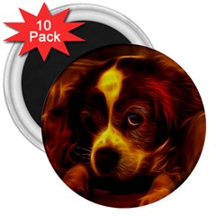 Cute 3d Dog 3  Magnets (10 Pack)  by Ket1n9