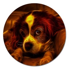 Cute 3d Dog Magnet 5  (round)