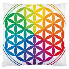 Heart Energy Medicine Large Cushion Case (two Sides) by Ket1n9