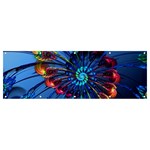 Top Peacock Feathers Banner and Sign 12  x 4  Front