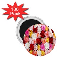 Rose Color Beautiful Flowers 1 75  Magnets (100 Pack)  by Ket1n9