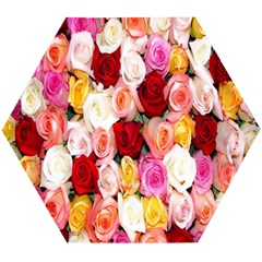 Rose Color Beautiful Flowers Wooden Puzzle Hexagon by Ket1n9