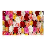 Rose Color Beautiful Flowers Banner and Sign 5  x 3  Front