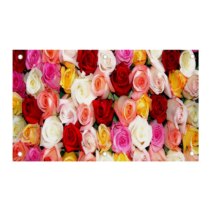 Rose Color Beautiful Flowers Banner and Sign 5  x 3 