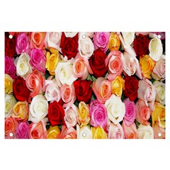 Rose Color Beautiful Flowers Banner And Sign 6  X 4  by Ket1n9