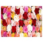 Rose Color Beautiful Flowers Premium Plush Fleece Blanket (Extra Small) 40 x30  Blanket Front