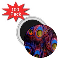 Pretty Peacock Feather 1 75  Magnets (100 Pack)  by Ket1n9