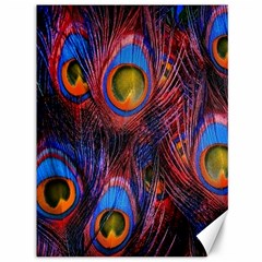 Pretty Peacock Feather Canvas 36  X 48  by Ket1n9