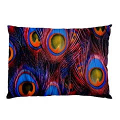 Pretty Peacock Feather Pillow Case by Ket1n9