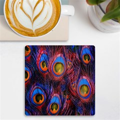 Pretty Peacock Feather Uv Print Square Tile Coaster  by Ket1n9