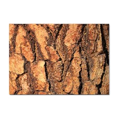 Bark Texture Wood Large Rough Red Wood Outside California Sticker A4 (10 Pack) by Ket1n9