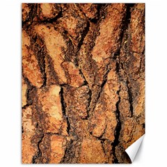 Bark Texture Wood Large Rough Red Wood Outside California Canvas 18  X 24  by Ket1n9