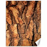 Bark Texture Wood Large Rough Red Wood Outside California Canvas 18  x 24  17.8 x23.08  Canvas - 1