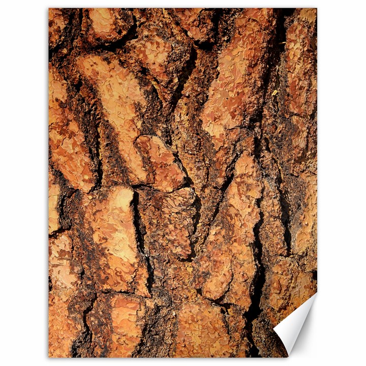 Bark Texture Wood Large Rough Red Wood Outside California Canvas 18  x 24 