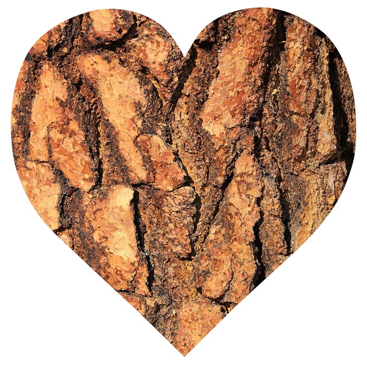 Bark Texture Wood Large Rough Red Wood Outside California Wooden Puzzle Heart