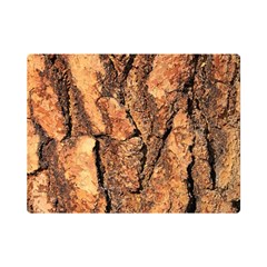 Bark Texture Wood Large Rough Red Wood Outside California Premium Plush Fleece Blanket (mini) by Ket1n9